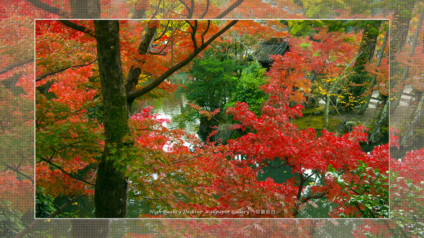 永観堂（２）の壁紙／Wallpaper of Title in Kyoto in Autumn (1366×768)
