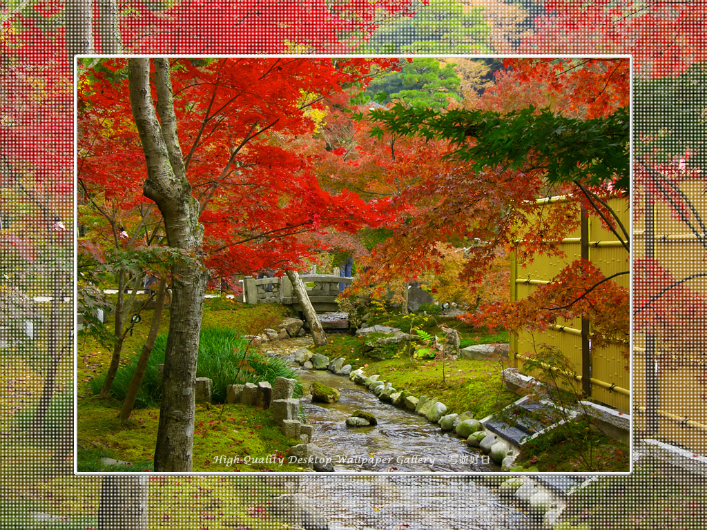 永観堂（３）の壁紙／Wallpaper of Kyoto in Autumn (1024×768)