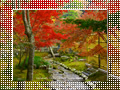「永観堂の紅葉」のダウンロードページ｜Go to the download page of Autumn in Kyoto (3)