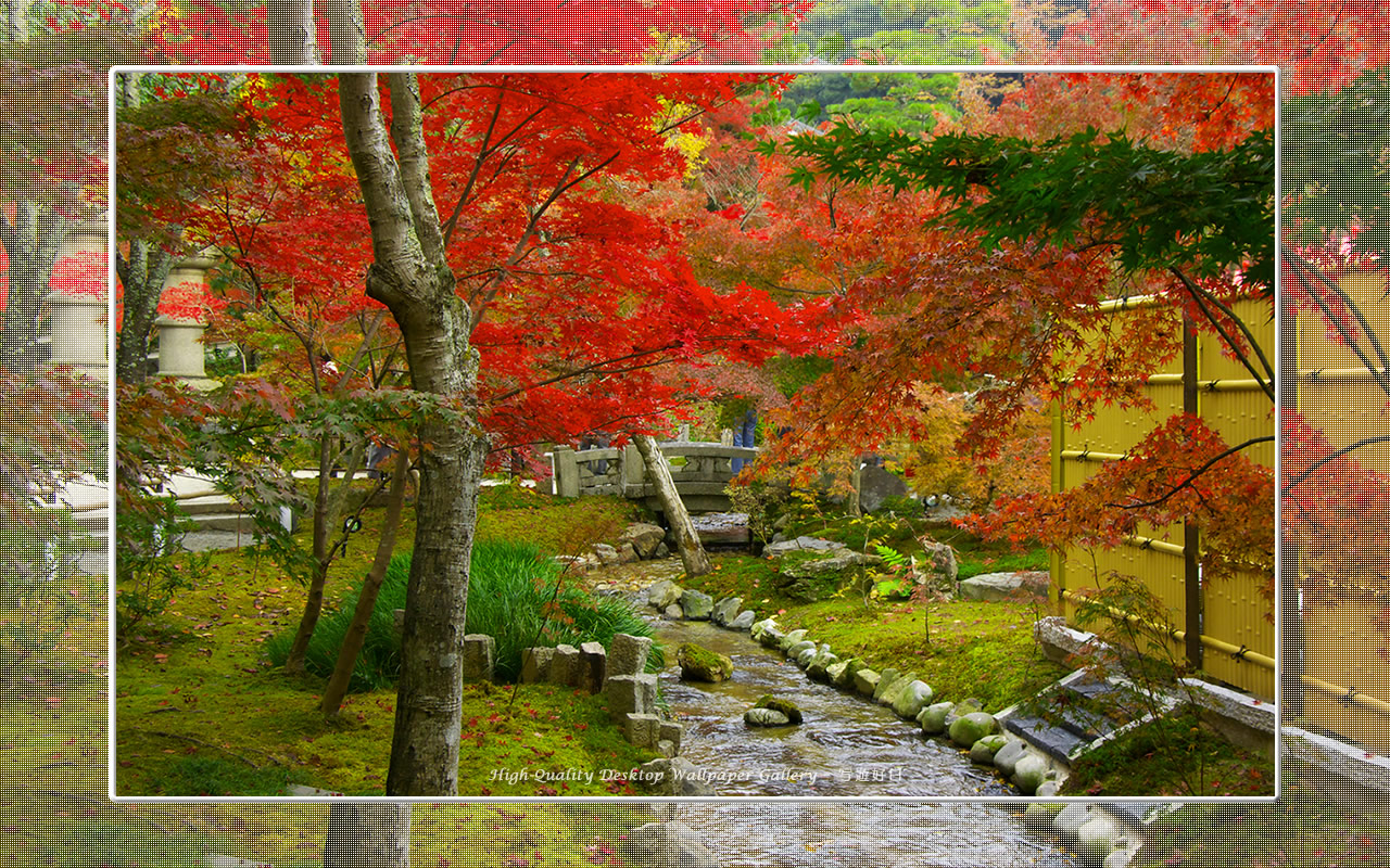 永観堂（３）の壁紙／Wallpaper of Kyoto in Autumn (1280×800)
