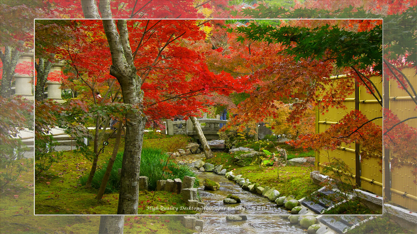 永観堂（３）の壁紙／Wallpaper of Title in Kyoto in Autumn (1366×768)