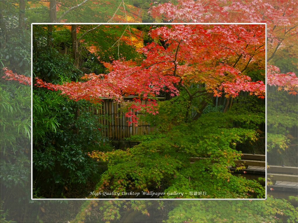 叶匠壽庵（哲学の道）の壁紙／Wallpaper of Kyoto in Autumn (1024×768)