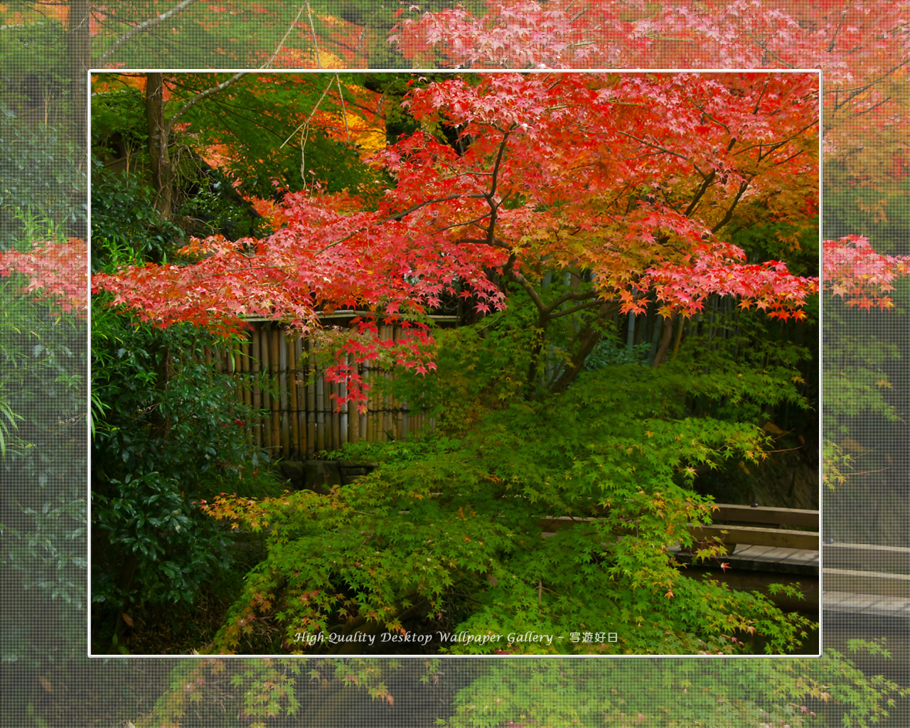 叶匠壽庵（哲学の道）の壁紙／Wallpaper of Kyoto in Autumn (1280×1024)