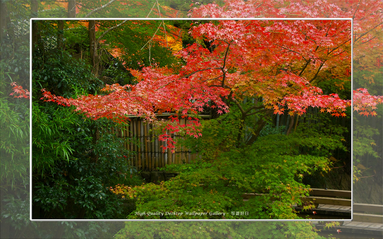 叶匠壽庵（哲学の道）の壁紙／Wallpaper of Kyoto in Autumn (1280×800)