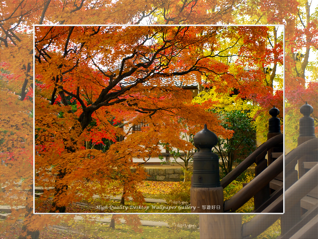 真如堂（１）の壁紙／Wallpaper of Kyoto in Autumn (1024×768)