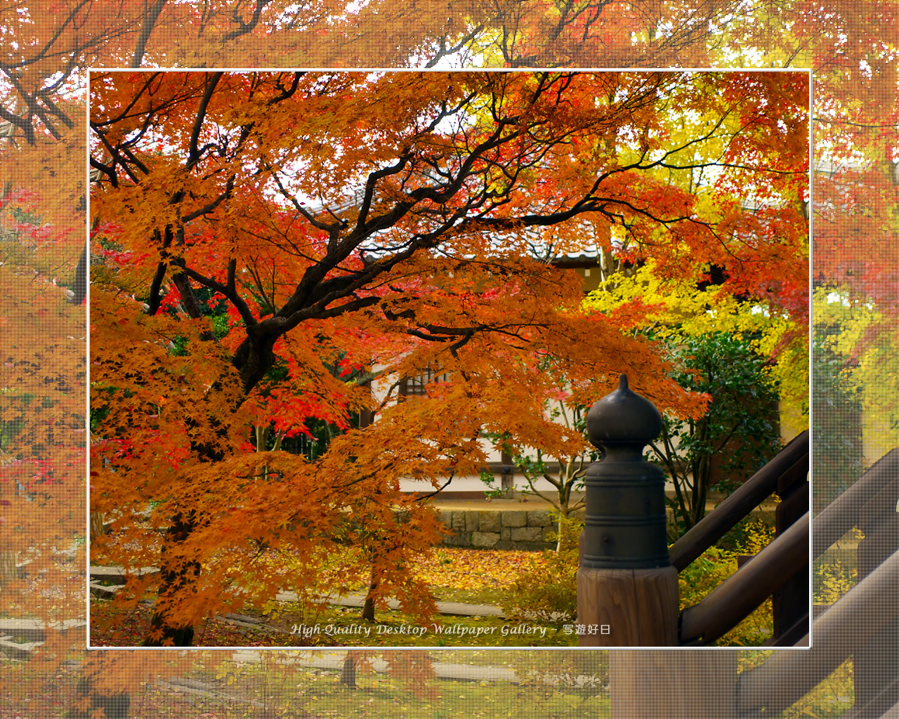 真如堂（１）の壁紙／Wallpaper of Kyoto in Autumn (1280×1024)