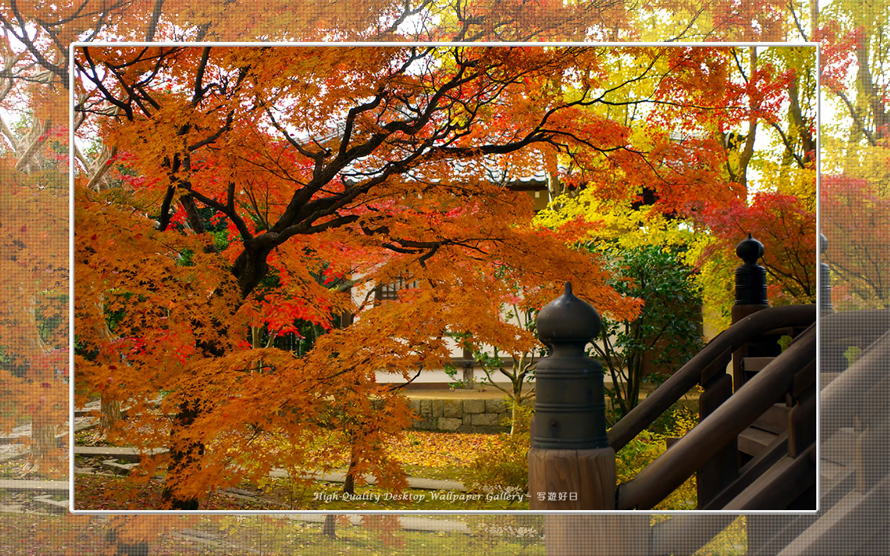 真如堂（１）の壁紙／Wallpaper of Kyoto in Autumn (1280×800)