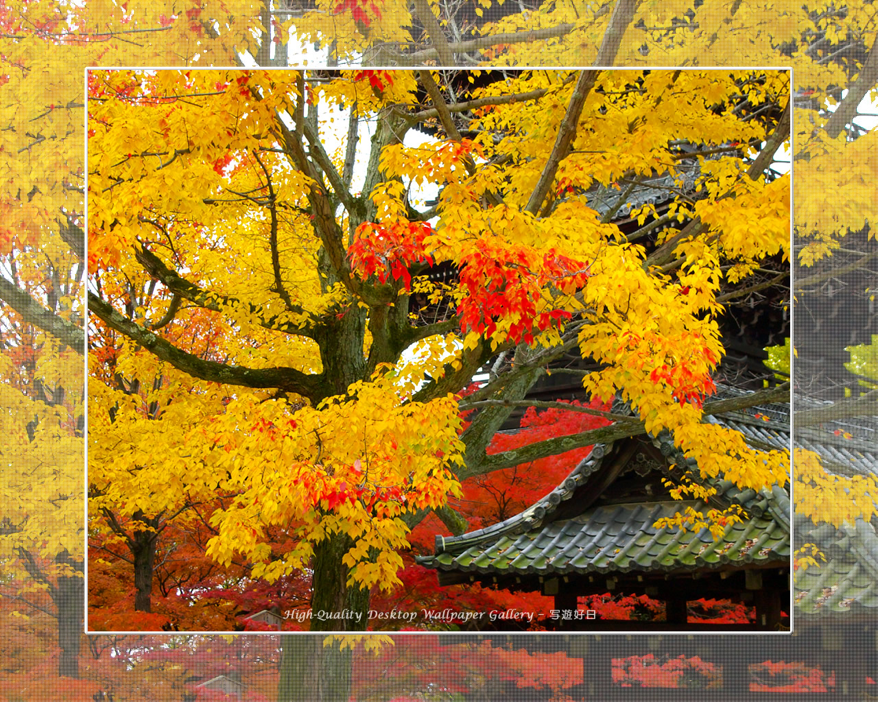 真如堂（３）の壁紙／Wallpaper of Kyoto in Autumn (1280×1024)