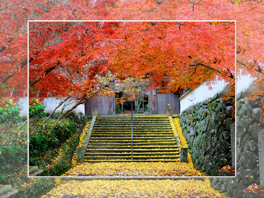 王至森寺の紅葉と黄葉 (1024×768)