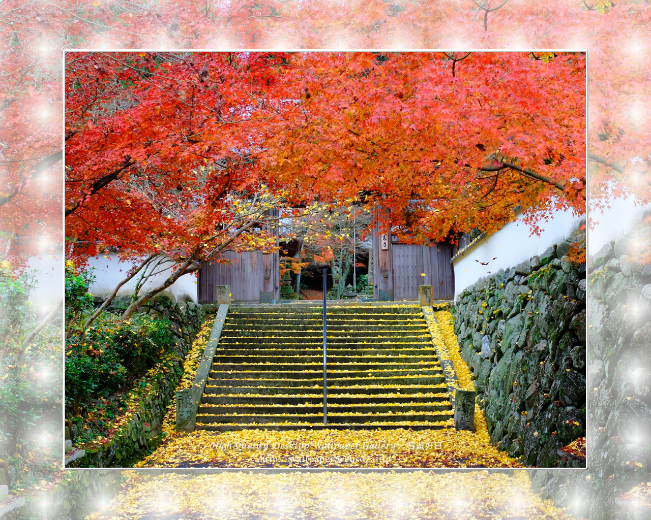王至森寺の紅葉と黄葉 (1280×1024)