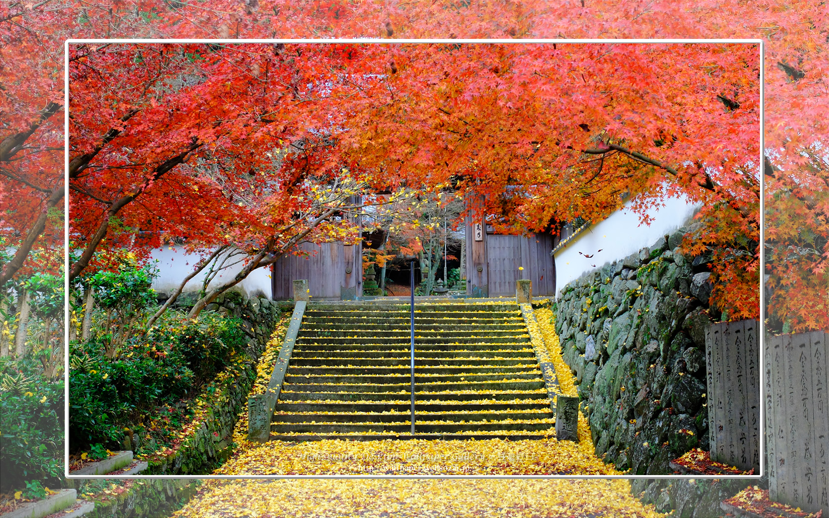 王至森寺の紅葉と黄葉 (1680×1050)