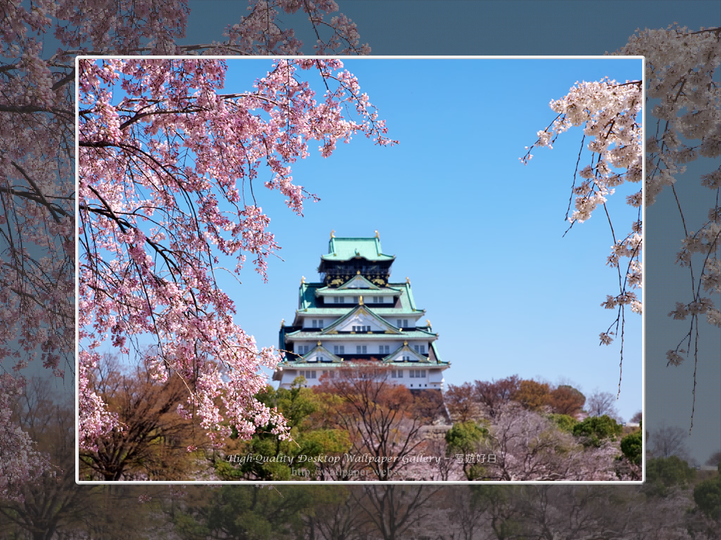 春の大阪城の壁紙／Wallpaper of Osaka Castle in spring (1024×768)