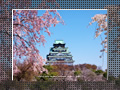 春の大阪城｜Osaka Castle