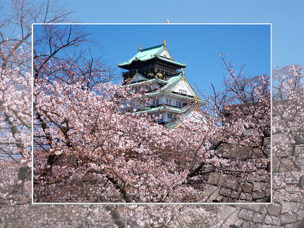 桜と大阪城の壁紙／Wallpaper of Osaka Castle in spring (1024×768)