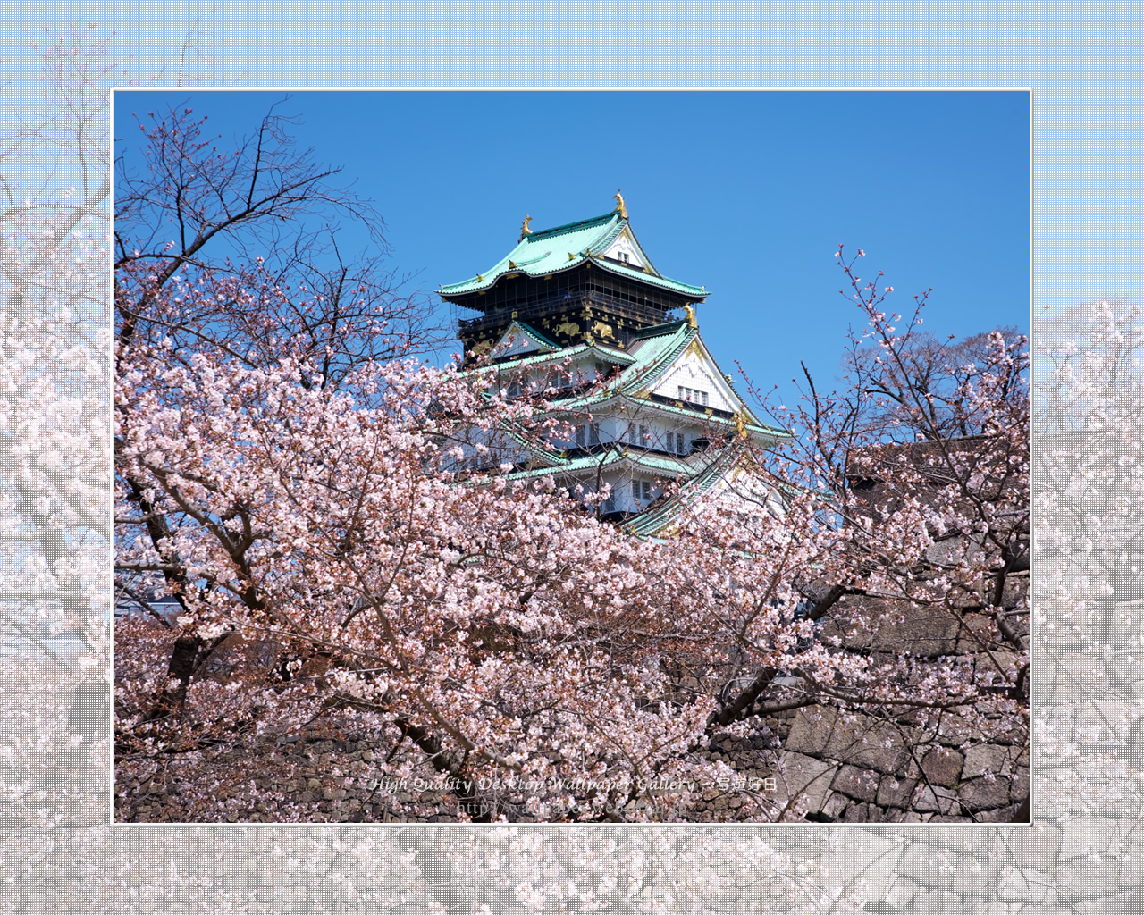 桜と大阪城の壁紙／Wallpaper of Osaka Castle in spring (1280×1024)