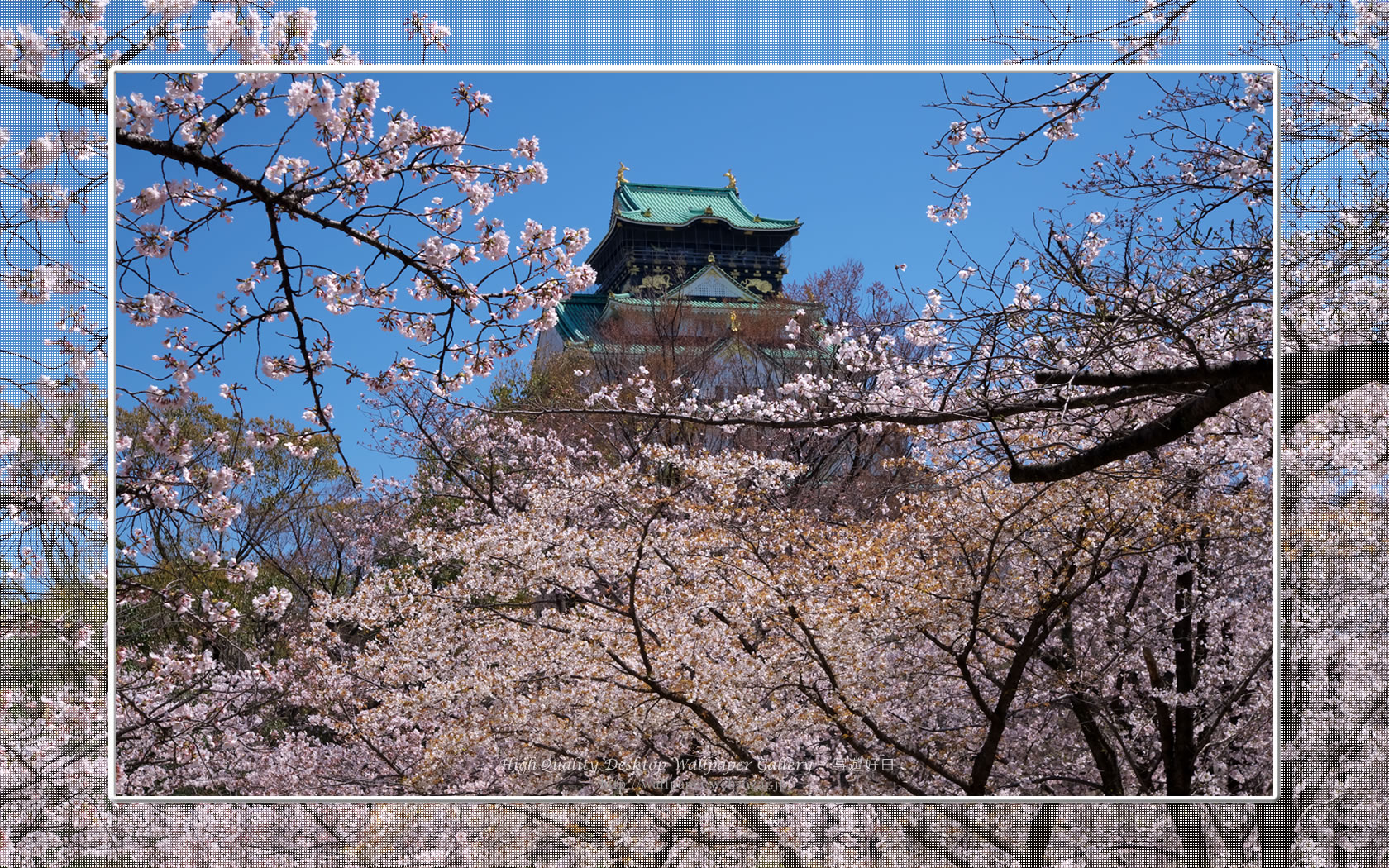 春爛漫の大阪城の壁紙／Wallpaper of Osaka Castle in spring (1680×1050)