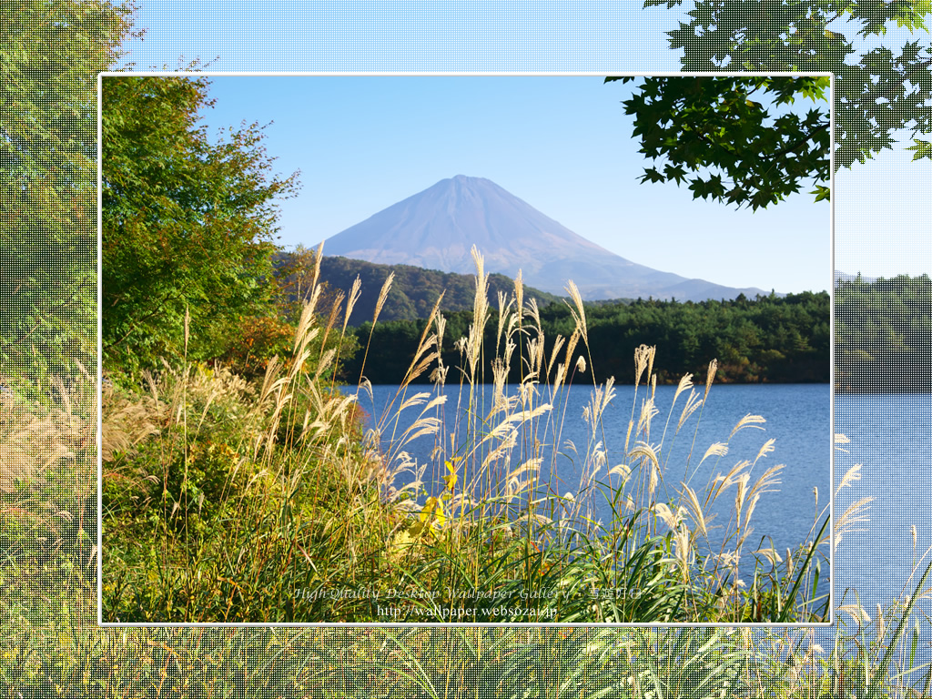 富士山の高画質＆高解像度壁紙／Wallpaper of富士山とススキ in Fuji Lake Districti (1024×768)