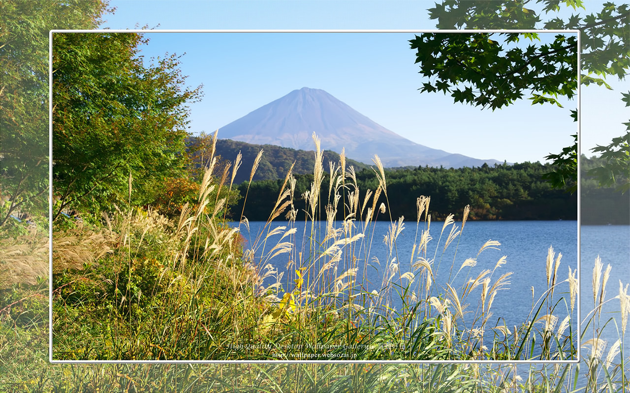 富士山の高画質＆高解像度壁紙／Wallpaper of富士山とススキ in Fuji Lake Districti (1280×800)