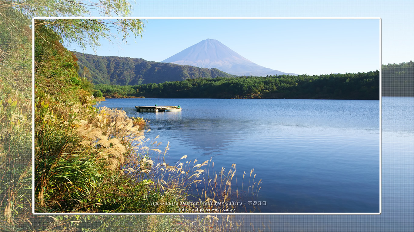 富士山の壁紙／Wallpaper of初秋の西湖 in Fuji Lake Districti (1366×768)