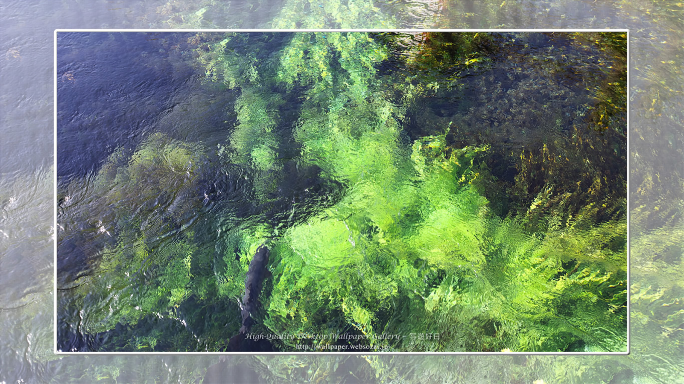 富士山の壁紙／Wallpaper of富士の湧水 in Fuji Lake Districti (1366×768)
