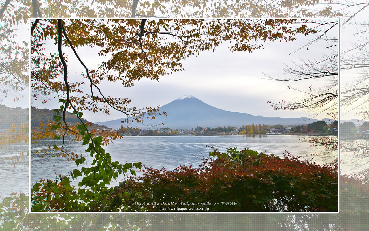 富士山の高画質＆高解像度壁紙／Wallpaper of湖畔の秋景 in Fuji Lake Districti (1280×800)