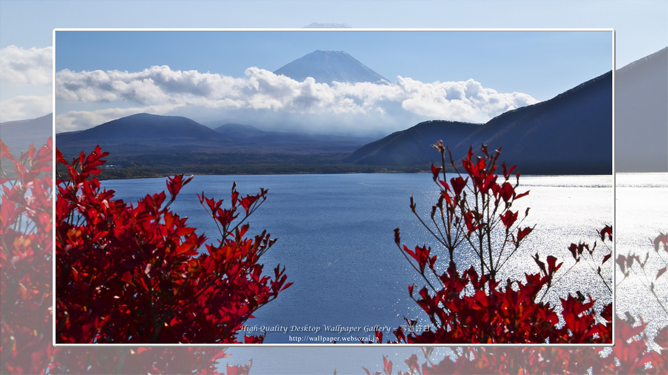 富士山の壁紙／Wallpaper of紅葉と富士山 in Fuji Lake Districti (1366×768)